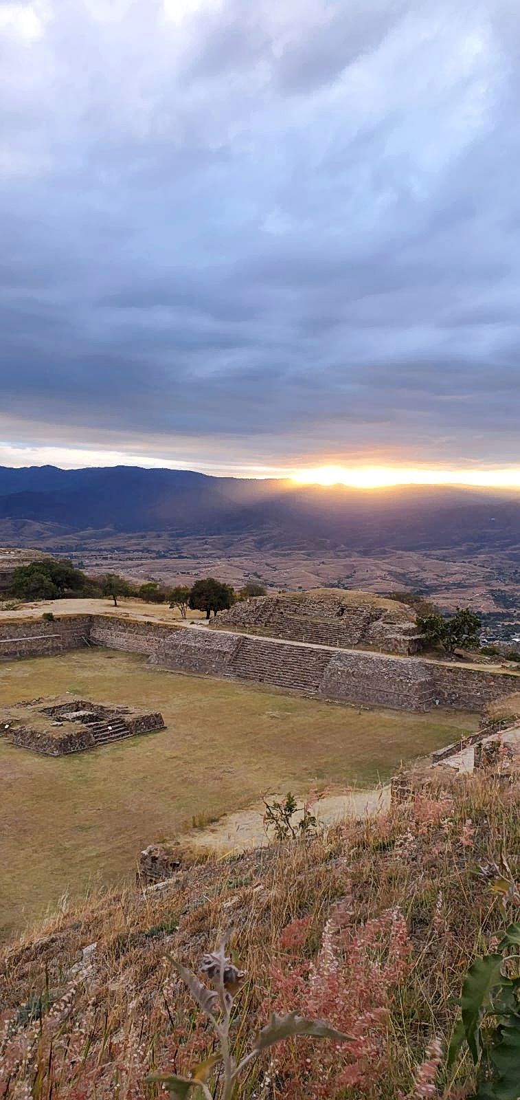 Monte Albán - Image 4