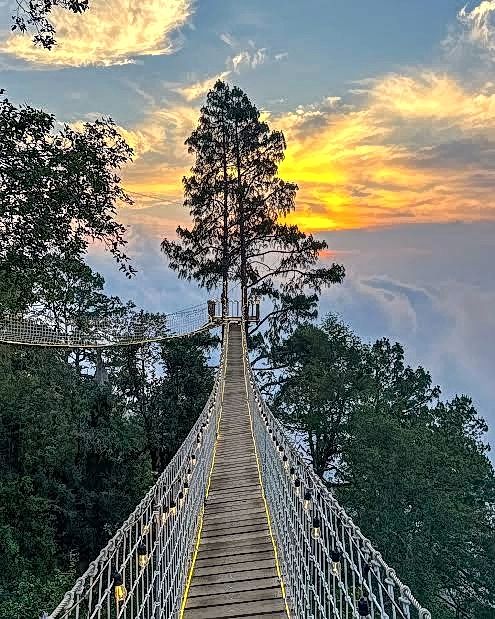 San Jose Pacifico - Image 32