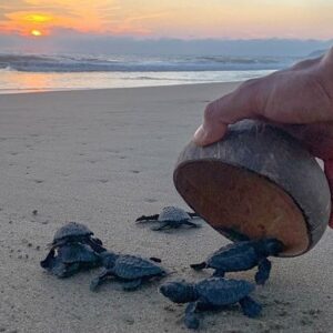 Puerto Escondido