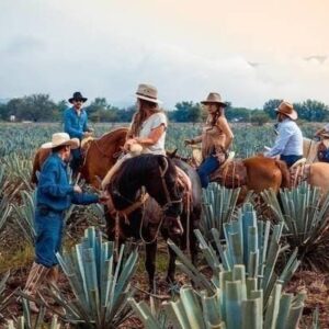 Tour Cabalgatas