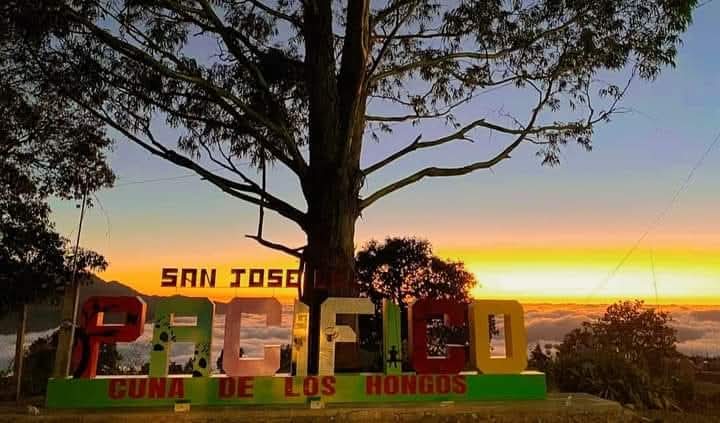 San Jose Pacifico - Image 20